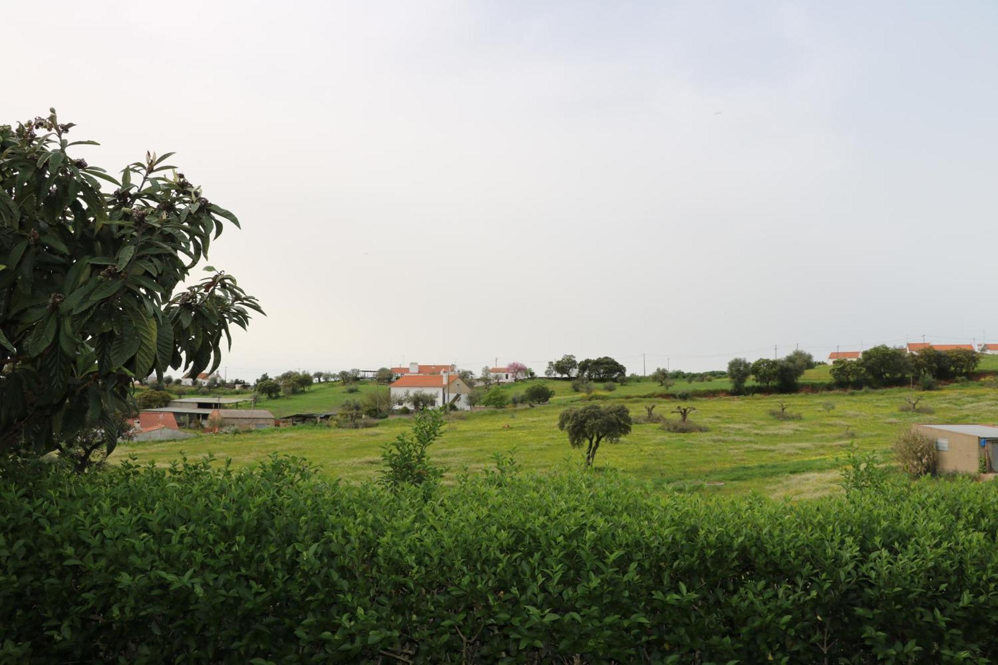 C M Casa De Mares Alojamento Local Casas Novas de Mares 外观 照片